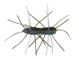 Z - Man - Fuzzy BugZ 1.75" - Hengelsport De Goeie Vangst
