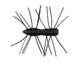 Z-Man-Fuzzy BugZ 1.75"-1.75" / 4.5cm-Yoga Pants-Hengelsport De Goeie Vangst