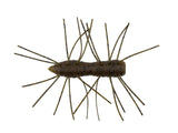 Z - Man - Fuzzy BugZ 1.75" - Hengelsport De Goeie Vangst