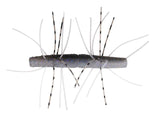 Z - Man - Fuzzy TRD 2.75" - Hengelsport De Goeie Vangst