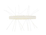 Z - Man - Fuzzy TRD 2.75" - Hengelsport De Goeie Vangst
