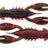 Z-Man-Pro CrawZ 3.5"-8.9cm-Hot Craw-De Goeie Vangst