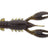 Z-Man-Pro CrawZ 3.5"-8.9cm-Green Pumpkin-De Goeie Vangst